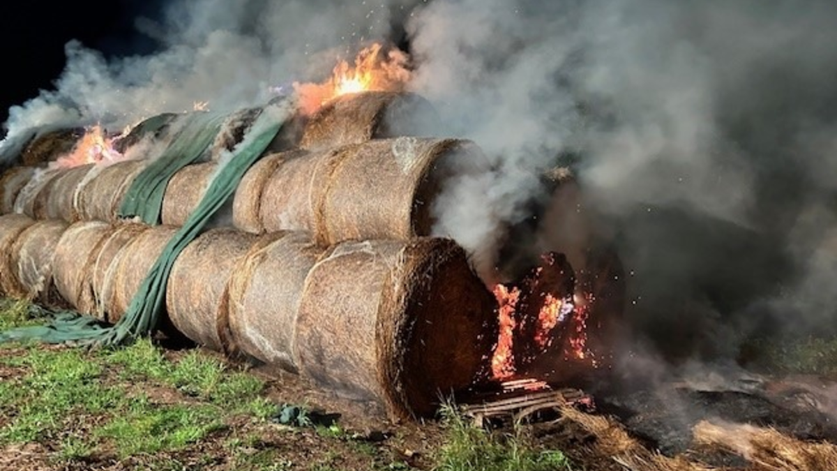 POL-PDKL: Brand mehrerer Heuballen - Foto: presseportal.de