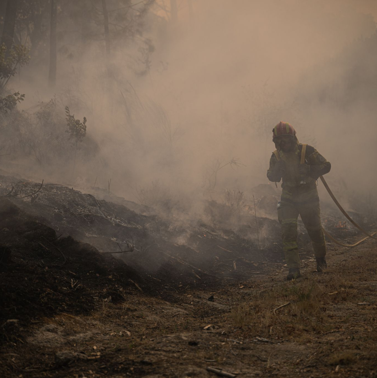 Nicht nur die Hitze ist für die Brandbekämpfer wie hier in Portugal im Norden des Landes bei der Kleinstadt Parada Monte bedrohlich. Auch der viele Rauch ist gefährlich.  - Foto: Elena Fernandez/ZUMA Press Wire/dpa
