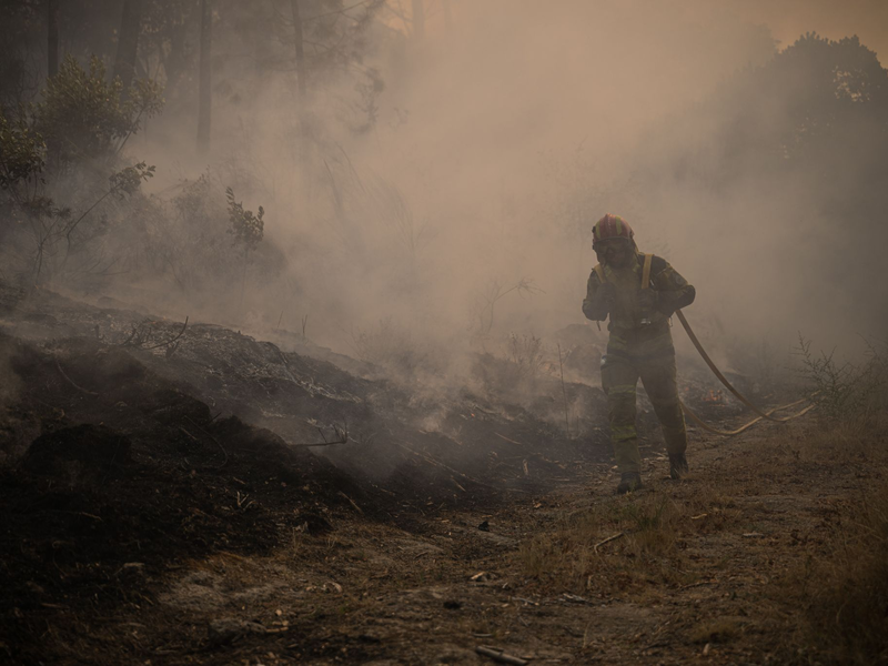 Nicht nur die Hitze ist für die Brandbekämpfer wie hier in Portugal im Norden des Landes bei der Kleinstadt Parada Monte bedrohlich. Auch der viele Rauch ist gefährlich.  - Foto: Elena Fernandez/ZUMA Press Wire/dpa