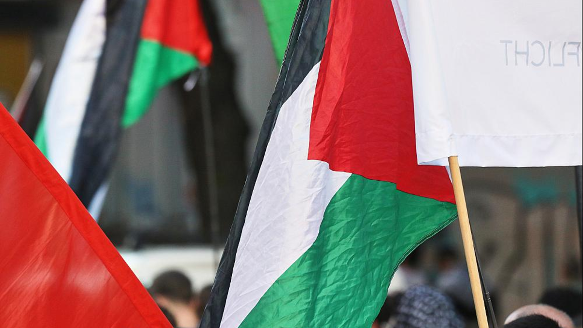 Palästinenser-Fahnen (Archiv) - Foto: über dts Nachrichtenagentur