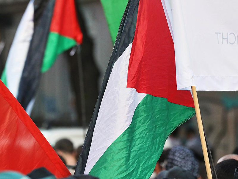Palästinenser-Fahnen (Archiv) - Foto: über dts Nachrichtenagentur