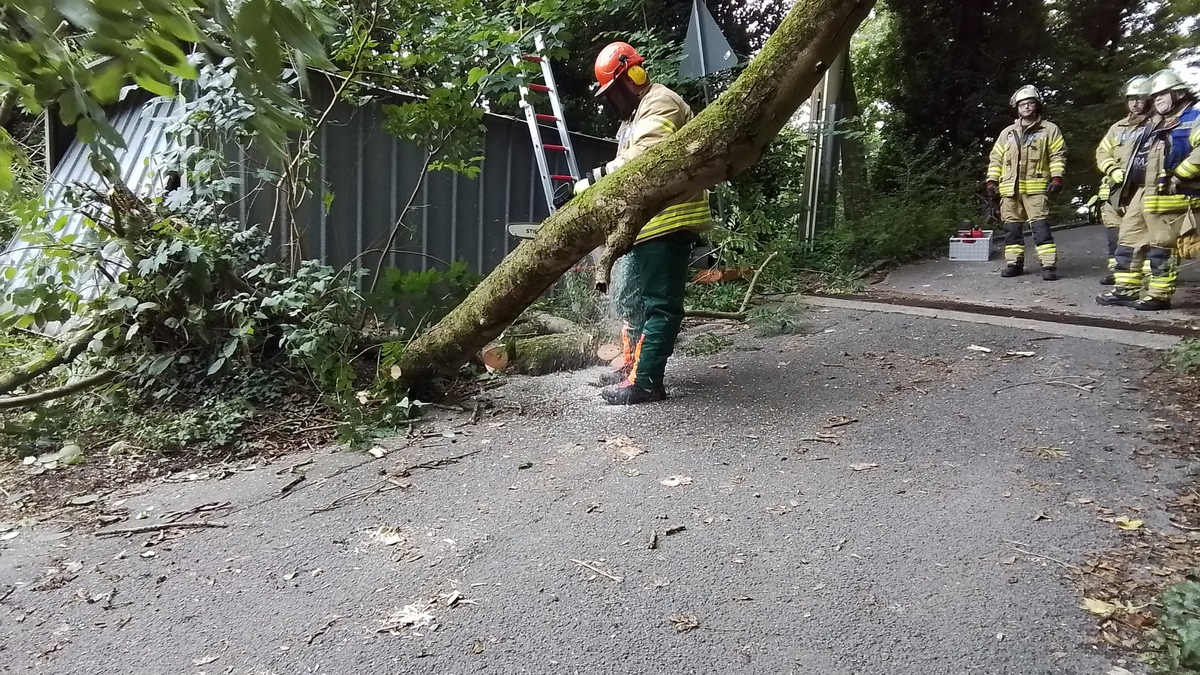 FW Weinheim: Feuerwehr Weinheim beseitig umgestürzten Baum Am Bischof - Foto: presseportal.de