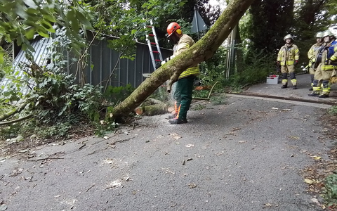 FW Weinheim: Feuerwehr Weinheim beseitig umgestürzten Baum Am Bischof - Foto: presseportal.de