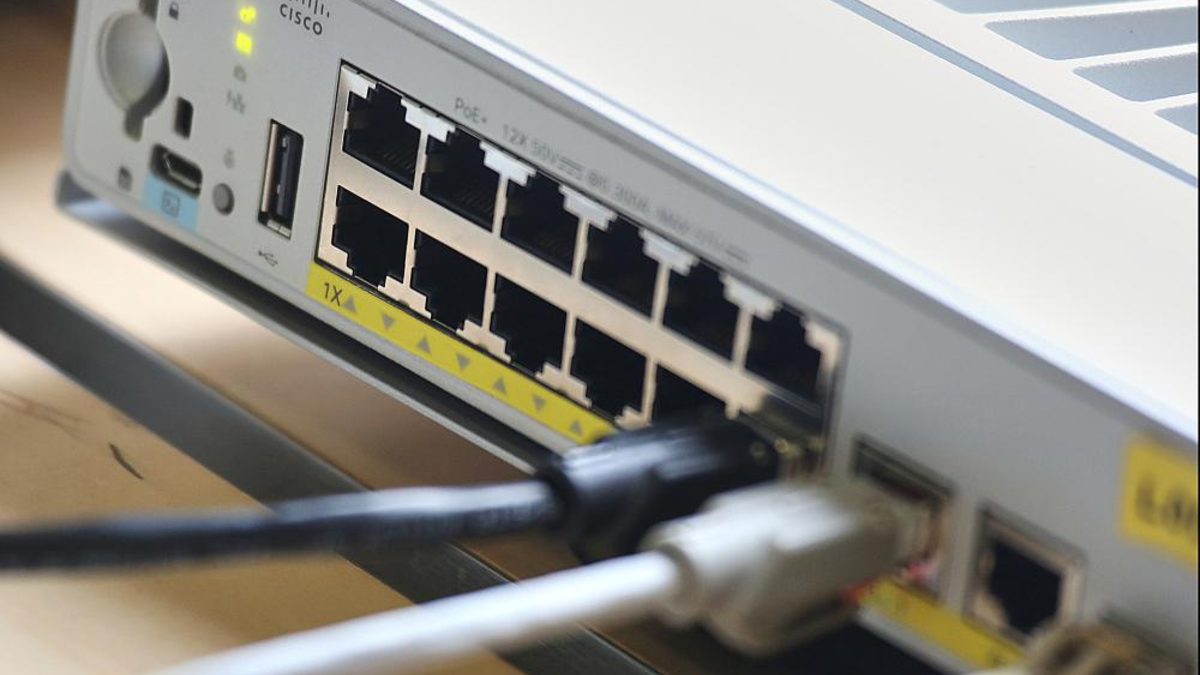 Netzwerk-Patchpanel (Archiv) - Foto: über dts Nachrichtenagentur