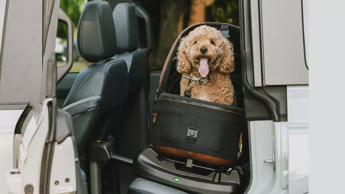 Fast jeder 2. Deutsche hat ein Haustier & ca. die Hälfte sichern es falsch / Tavo Pets Kampagne Imagine the Impact - Bild: presseportal.de