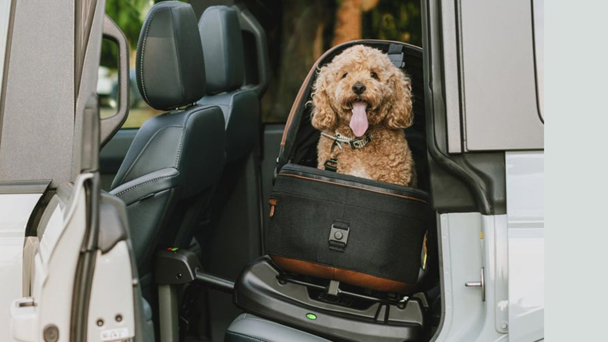 Fast jeder 2. Deutsche hat ein Haustier & ca. die Hälfte sichern es falsch / Tavo Pets Kampagne 