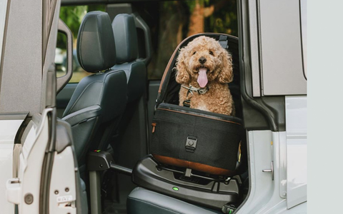 Fast jeder 2. Deutsche hat ein Haustier & ca. die Hälfte sichern es falsch / Tavo Pets Kampagne Imagine the Impact - Foto: presseportal.de