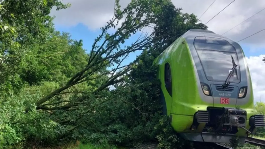 BPOL-FL: Baum fällt auf Oberleitung - Zug kann nicht rechtzeitig bremsen - Bild: presseportal.de