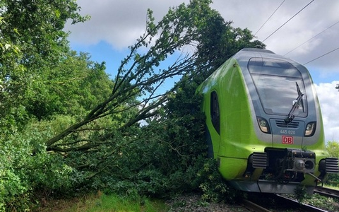 BPOL-FL: Baum fällt auf Oberleitung - Zug kann nicht rechtzeitig bremsen - Foto: presseportal.de