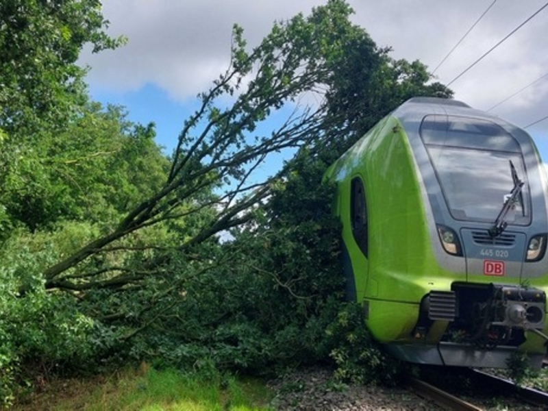 BPOL-FL: Baum fällt auf Oberleitung - Zug kann nicht rechtzeitig bremsen - Foto: presseportal.de