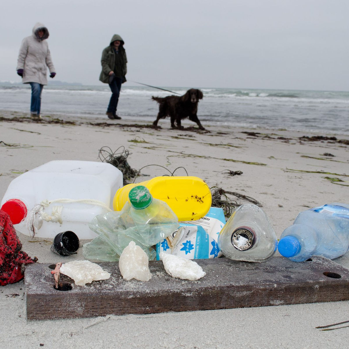 Plastikpartikel verschmutzen heute die höchsten Berge und die tiefsten Ozeane. (Archivbild)  - Foto: Stefan Sauer/dpa-Zentralbild/dpa