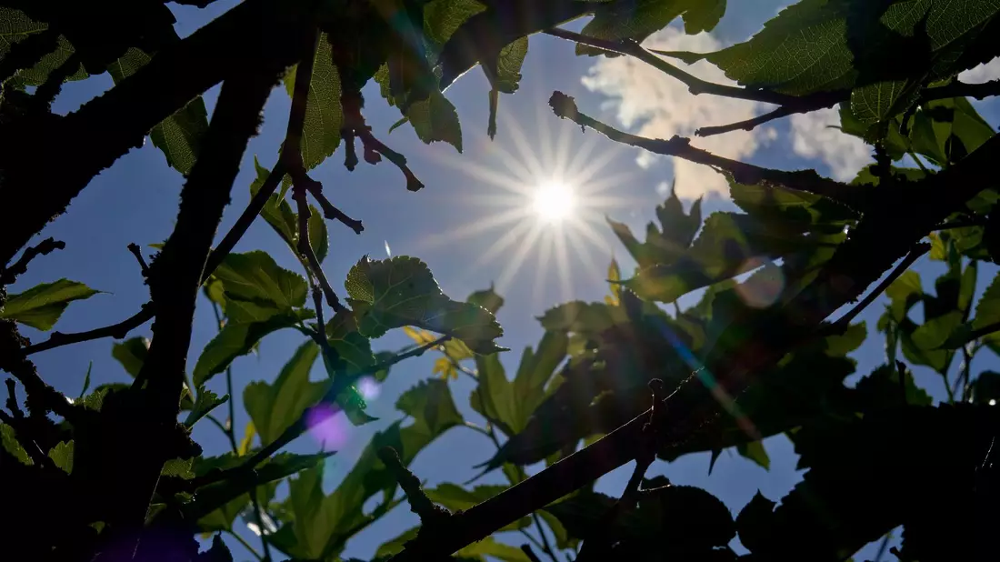Über Temperaturen um die 30 Grad kann sich vor allem der Süden in den kommenden Tagen freuen. (Archivbild) - Bild: Sascha Ditscher/dpa