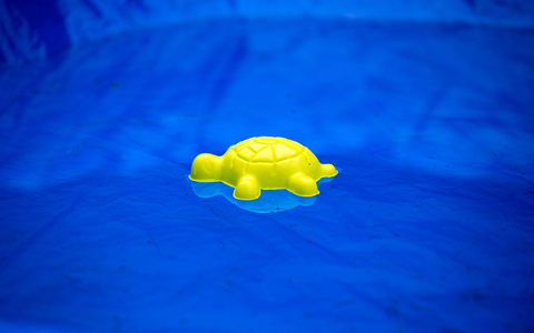 Die vermissten Kinder wurden tot in einem privaten Pool gefunden. (Symbolbild) - Foto: picture alliance / Arno Burgi/dpa-Zentralbild/ZB