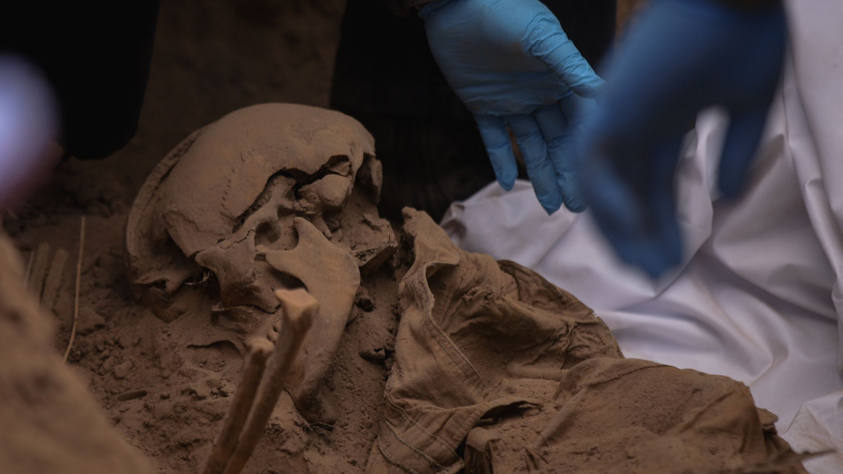 In dem Massengrab wurden 32 Leichen entdeckt. (Symbolbild) - Foto: Daniel Resendiz/dpa