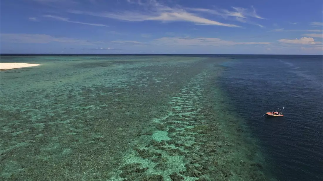 Das Australian Institute of Marine Science (AIMS) untersucht das Great Barrier Reef seit vielen Jahren. - Bild: Kate Osborne/AIMS /dpa