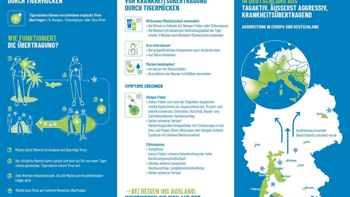 Biogents sensibilisiert die Bevölkerung / Ausbreitung der Tigermücke in Deutschland - WHO warnt vor Chikungunya-Epidemie - Foto: presseportal.de