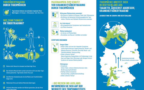Biogents sensibilisiert die Bevölkerung / Ausbreitung der Tigermücke in Deutschland - WHO warnt vor Chikungunya-Epidemie - Foto: presseportal.de Biogents sensibilisiert die Bevölkerung / Ausbreitung der Tigermücke in Deutschland - WHO warnt vor Chikungunya-Epidemie - Foto: presseportal.de