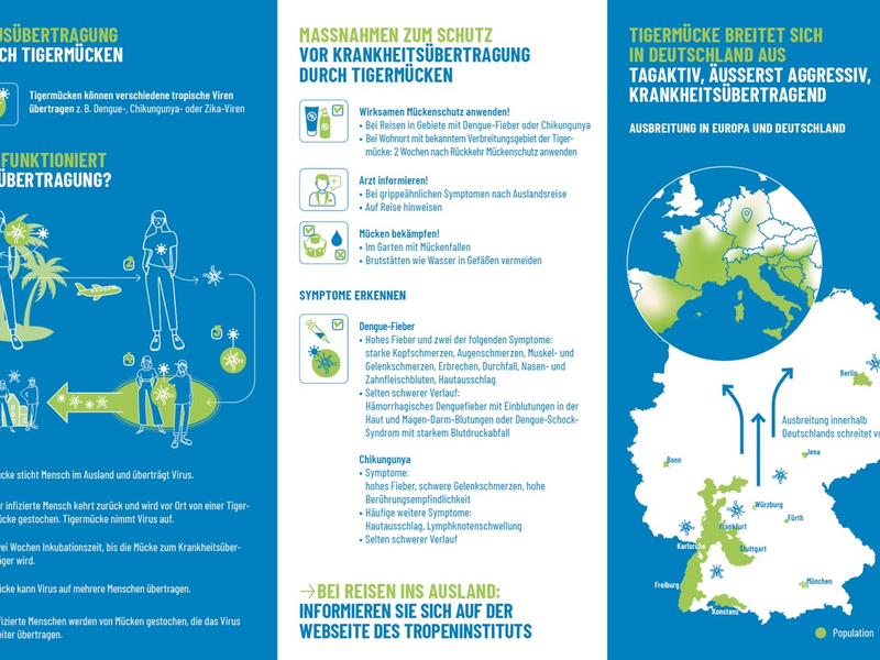 Biogents sensibilisiert die Bevölkerung / Ausbreitung der Tigermücke in Deutschland - WHO warnt vor Chikungunya-Epidemie - Foto: presseportal.de