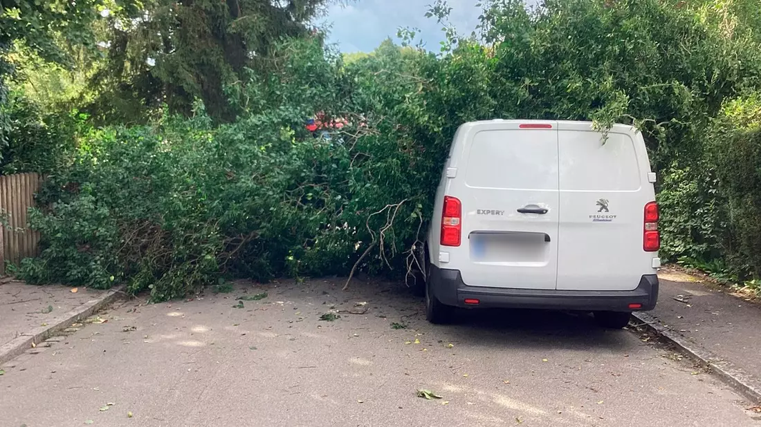 FW-M: Umgestürzter Baum erfordert schweres Gerät (Lochhausen) - Bild: presseportal.de
