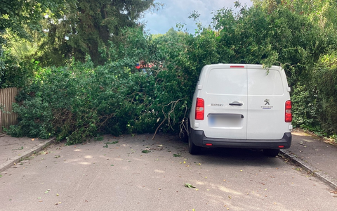 FW-M: Umgestürzter Baum erfordert schweres Gerät (Lochhausen) - Foto: presseportal.de
