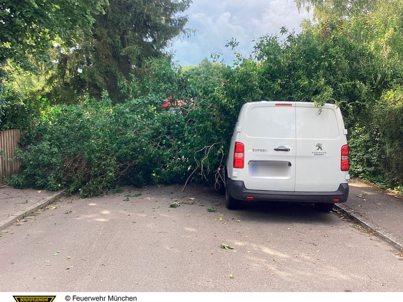 FW-M: Umgestürzter Baum erfordert schweres Gerät (Lochhausen) - Foto: presseportal.de