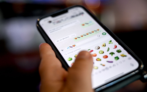 Aus Sicht der Erotikmesse hat sich die Aubergine als doppeldeutiges Emoji schon etabliert. (Symbolbild) - Foto: Britta Pedersen/dpa