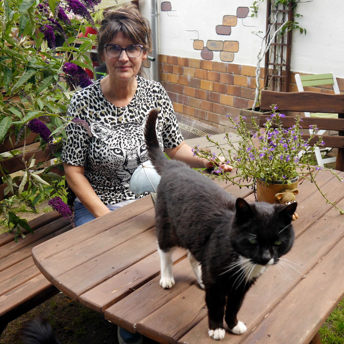 Manuela Jeschke hat das «Katzenparadies» privat gegründet. - Foto: Ulrike von Leszczynski/dpa