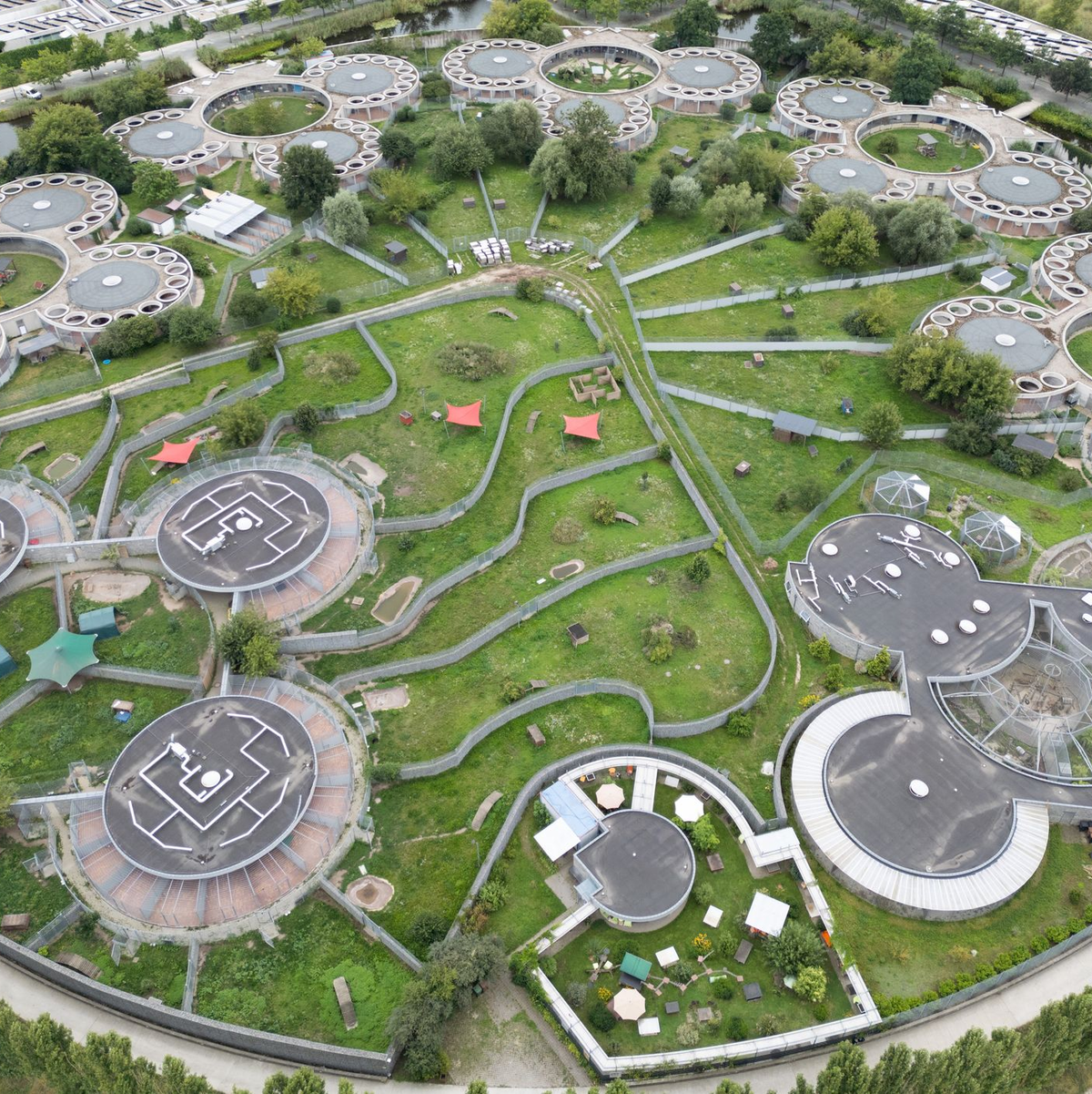 Das Tierheim Berlin. (Aufnahme mit einer Drohne/Archivbild) - Foto: Sebastian Gollnow/dpa