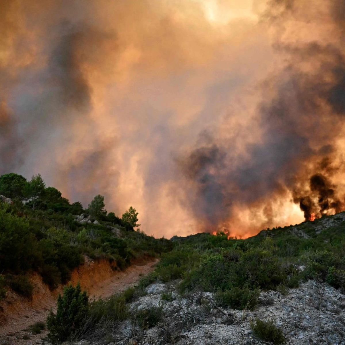 Die Feuerwehr hofft darauf, den Brand im Tagesverlauf in den Griff zu bekommen. - Foto: Lionel Bonaventure/AFP/dpa