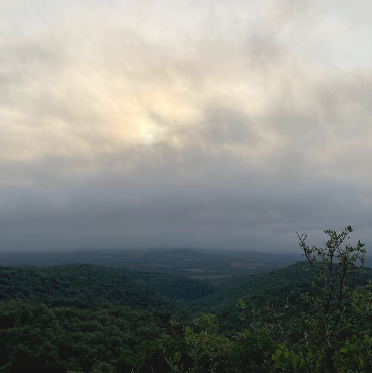 Auch aus einiger Entfernung ist der Großbrand in Frankreich sichtbar. - Foto: Lena Klimkeit/dpa
