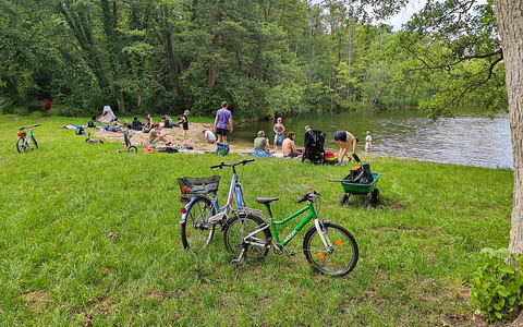 Badestrand (Archiv) - Foto: über dts Nachrichtenagentur