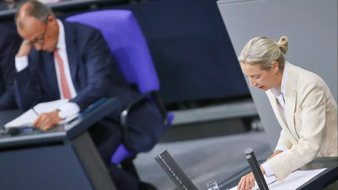 Friedrich Merz und Alice Weidel (AfD) (Archiv) - Bild: über dts Nachrichtenagentur