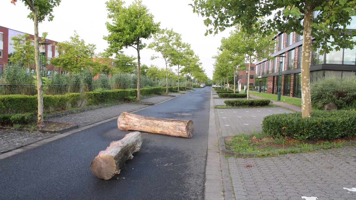 POL-VIE: Unbekannte legen Baumstämme auf Straße - Foto: presseportal.de