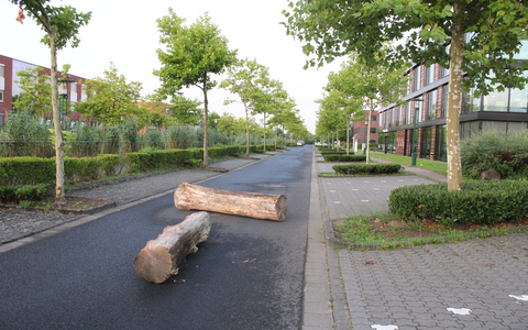 POL-VIE: Unbekannte legen Baumstämme auf Straße - Foto: presseportal.de POL-VIE: Unbekannte legen Baumstämme auf Straße - Foto: presseportal.de