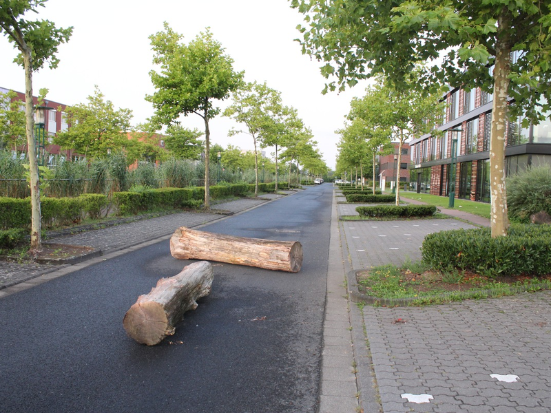 POL-VIE: Unbekannte legen Baumstämme auf Straße - Foto: presseportal.de