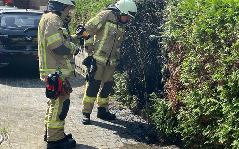 FW Lehrte: Gasbrenner setzt Hecke in Brand - Foto: presseportal.de
