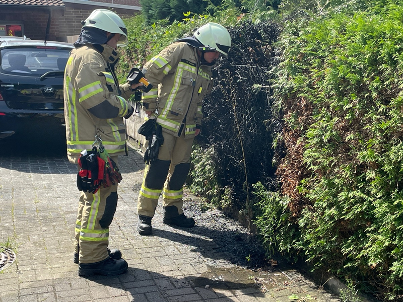 FW Lehrte: Gasbrenner setzt Hecke in Brand - Foto: presseportal.de
