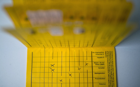 Säuglinge werden in Deutschland standardmäßig gegen Hib geimpft (Symbolbild).  - Foto: Sophia Kembowski/dpa