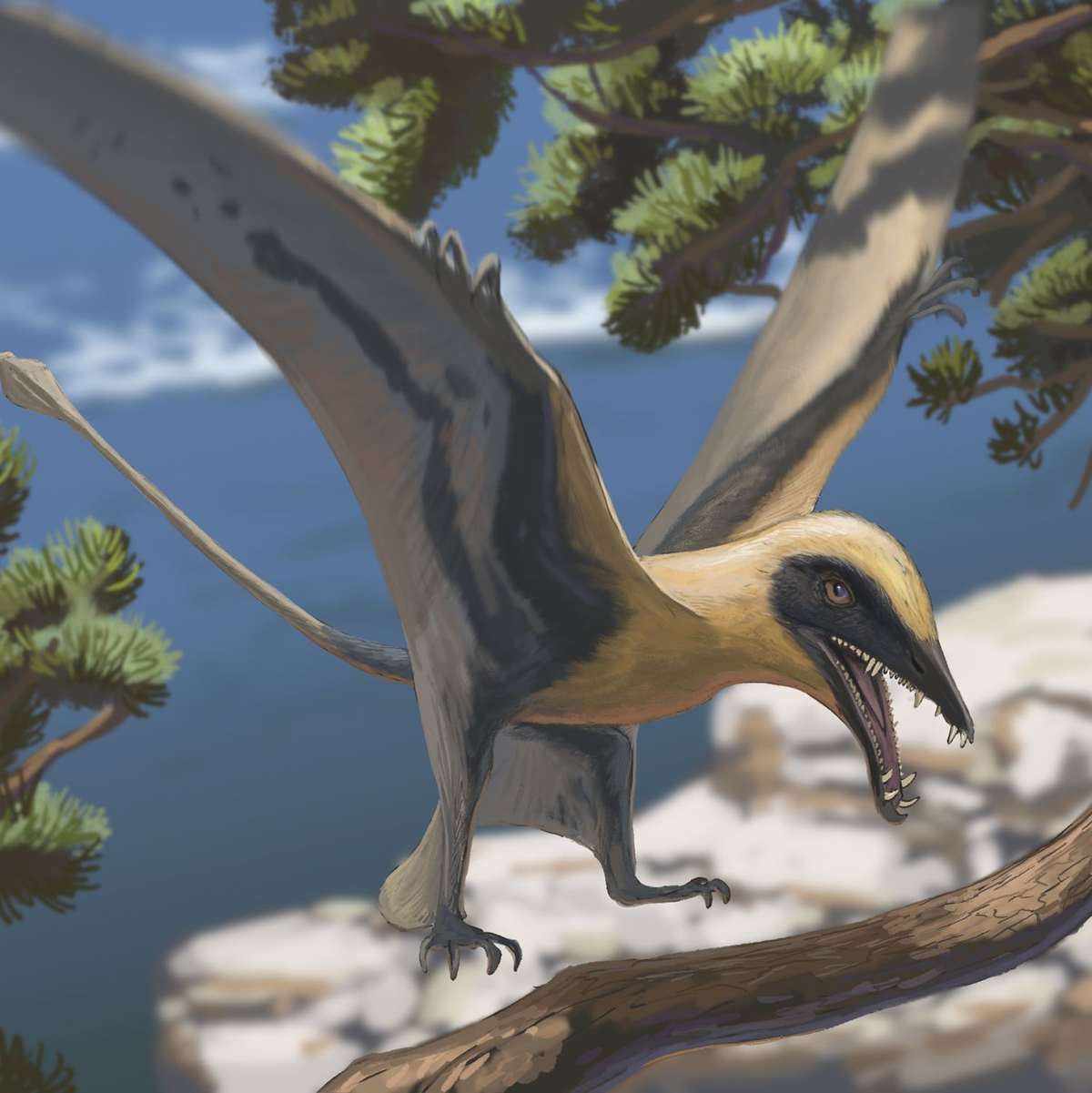 Rekonstruktion des Flugsauriers Eudimorphodon - Foto: Joschua Knüppe/Dinosaurierpark Teufelsschlucht/dpa