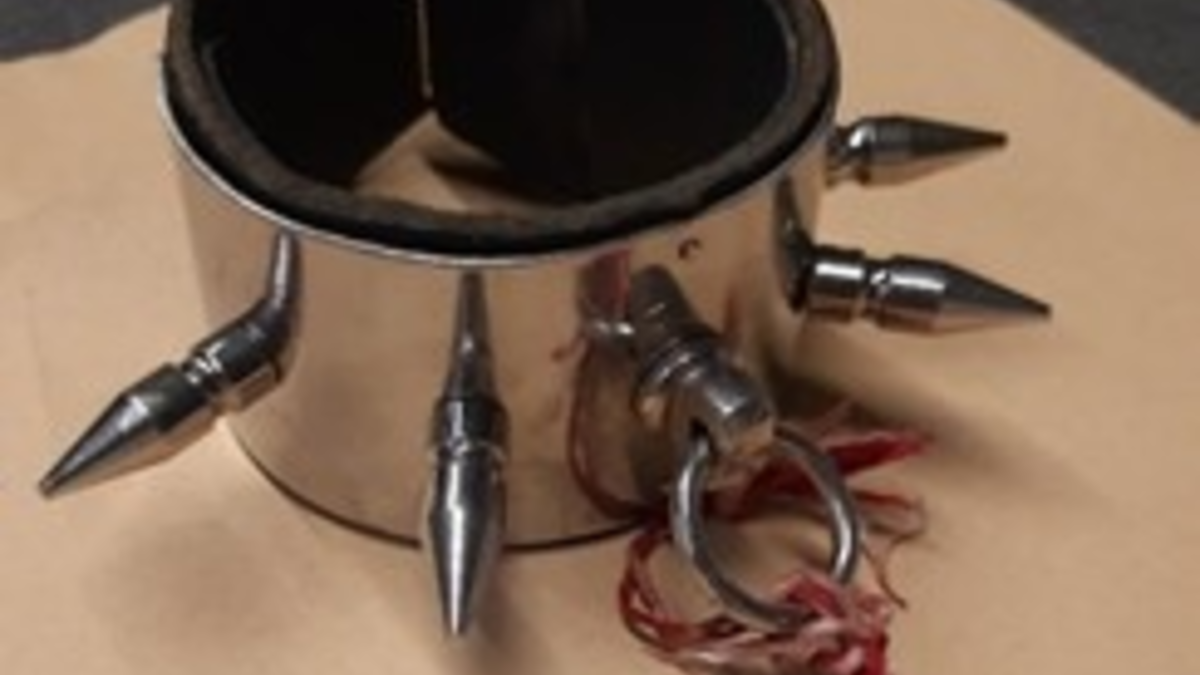 Bundespolizeidirektion München: Bundespolizei bittet um Zeugenhinweise Reinigungskräfte entdecken Blutlache in Regionalbahn - Foto: presseportal.de