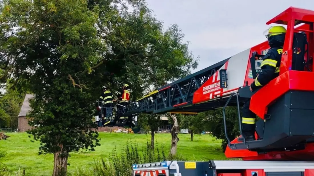 FW Neukirchen-Vluyn: Gleitschirmflieger in Baum - Feuerwehr rettet Person aus sieben Metern Höhe - Bild: presseportal.de