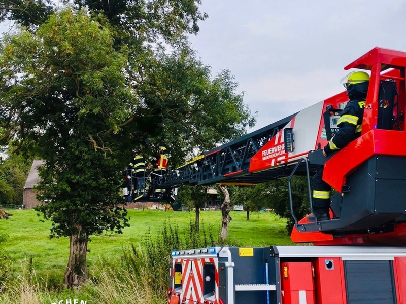 FW Neukirchen-Vluyn: Gleitschirmflieger in Baum - Feuerwehr rettet Person aus sieben Metern Höhe - Foto: presseportal.de
