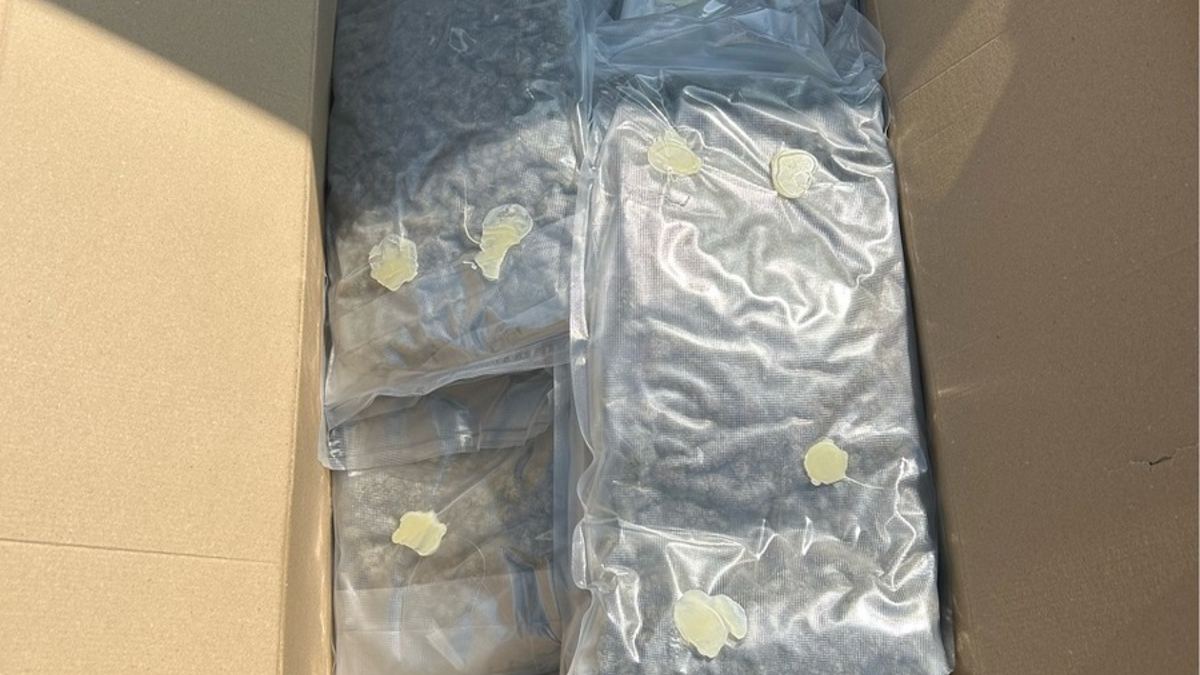 HZA-HN: In Umzugskartons versteckt - Marihuana bei Autobahnkontrolle entdeckt - Foto: presseportal.de