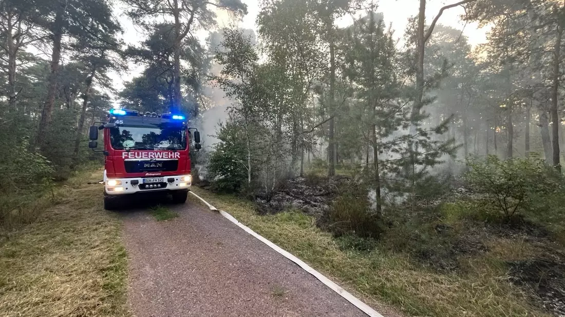 POL-PDNW: Polizeiinspektion Haßloch - Brandentwicklung in einem südlichen Waldstück von Haßloch - Bild: presseportal.de