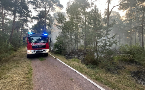 POL-PDNW: Polizeiinspektion Haßloch - Brandentwicklung in einem südlichen Waldstück von Haßloch - Foto: presseportal.de POL-PDNW: Polizeiinspektion Haßloch - Brandentwicklung in einem südlichen Waldstück von Haßloch - Foto: presseportal.de