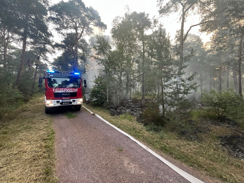 POL-PDNW: Polizeiinspektion Haßloch - Brandentwicklung in einem südlichen Waldstück von Haßloch - Foto: presseportal.de