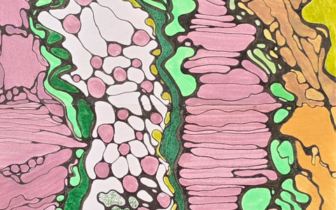 Das Innere in Dir von Natalia Lehmann - Foto: Natalia Lehmann über pressetext.de