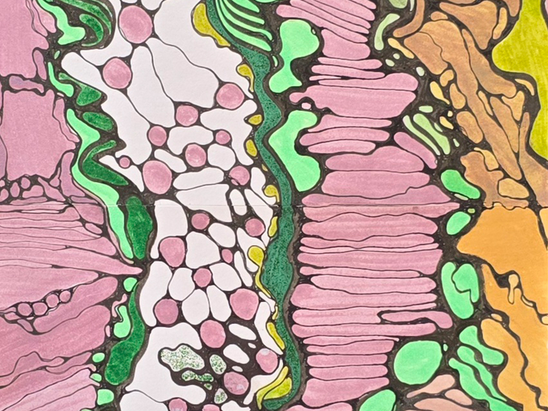 Das Innere in Dir von Natalia Lehmann - Foto: Natalia Lehmann über pressetext.de