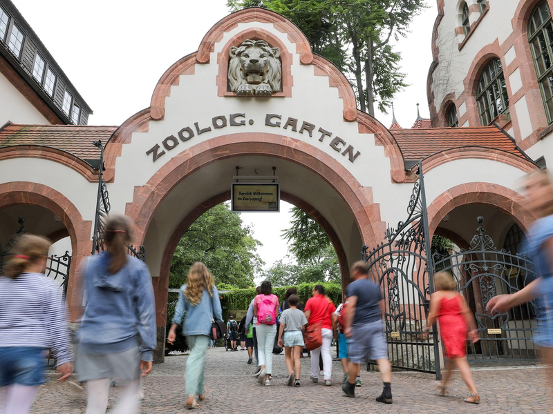 Drei Tigerbabys wurden eingeschläfert. (Symbolbild) - Foto: Jan Woitas/dpa-Zentralbild/dpa