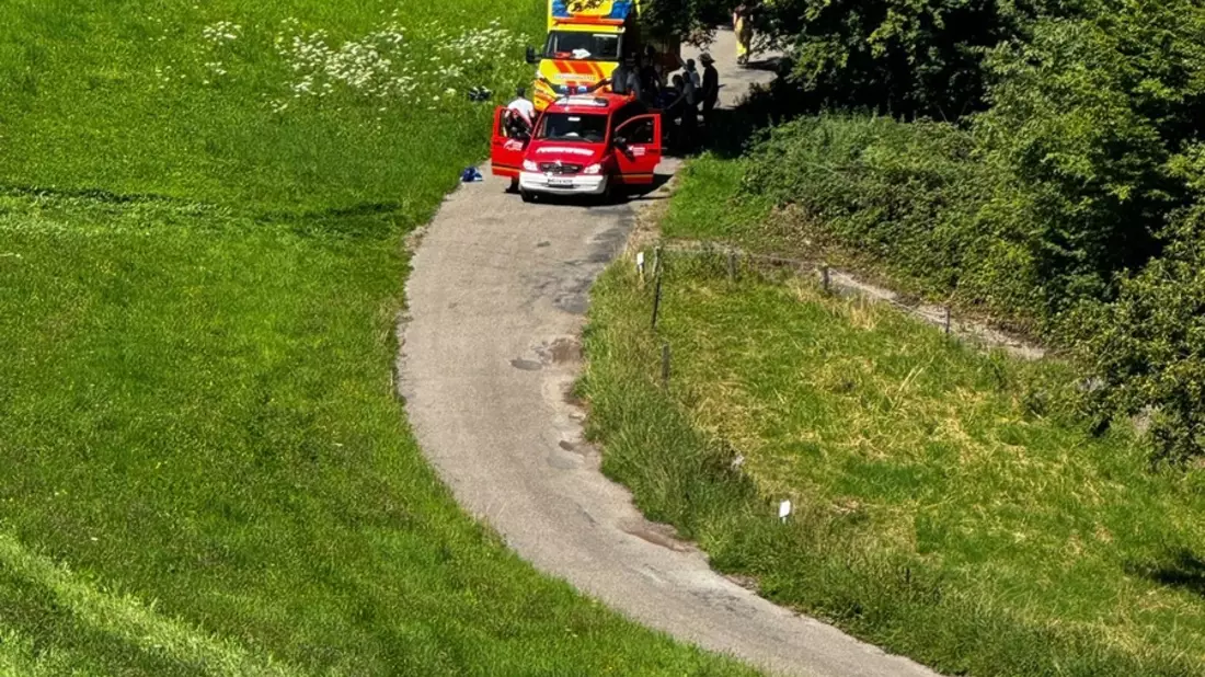 FW Weinheim: Arbeitsunfall im Wald Feuerwehr und Rettungsdienst retten verletzte Person aus unwegsamem Gelände - Bild: presseportal.de